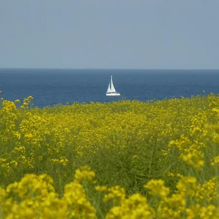 Meeresruhe Tatil Evi *